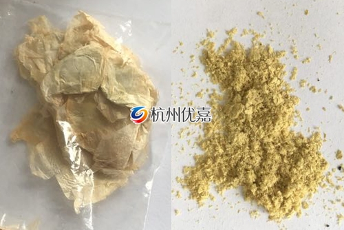 如何利用宋慈高通量多樣品組織研磨儀研磨植物組織？