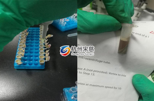 <a href=http://www.heiq-d.com/prouduct/lengdong/ target=_blank class=infotextkey>冷凍研磨儀</a>
